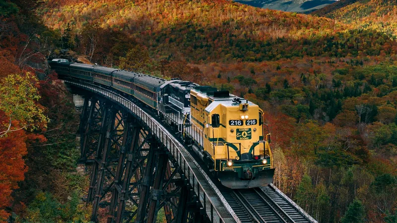 Train Or Bus Journey? Which one suits?
